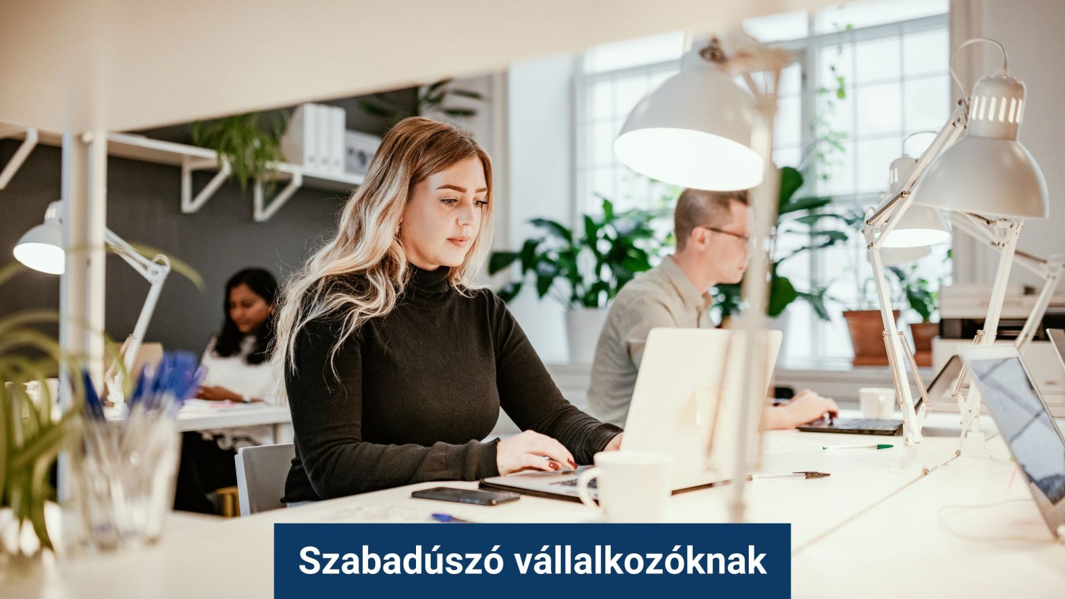 vallalkozok-office.jpg
